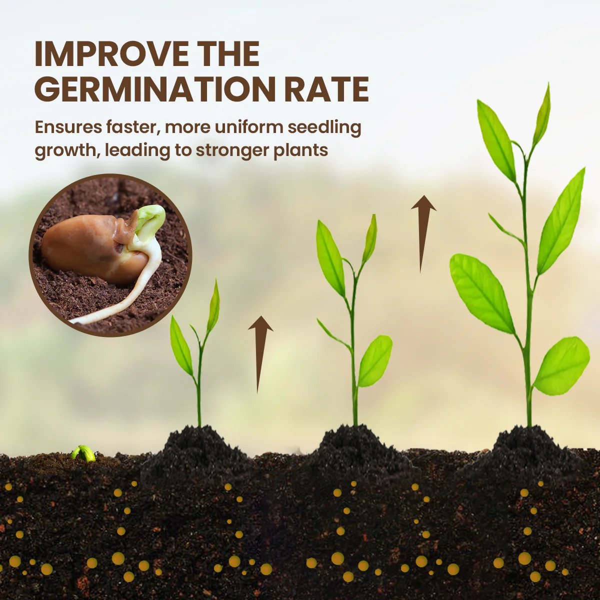 🔥Seasonal promotion🔥Soil Pro Activator