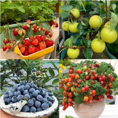 ✨New Arrivals 49% OFF🌱Eco-Friendly Plantable Love Seed Calendar 2026