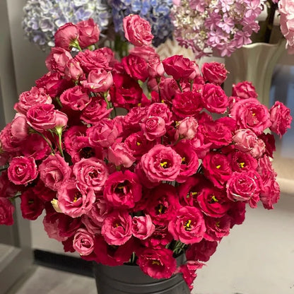 🔥Last Day 49% Discount - Sowing Lisianthus Flower Seeds for All Seasons🌿Suitable for Beginners