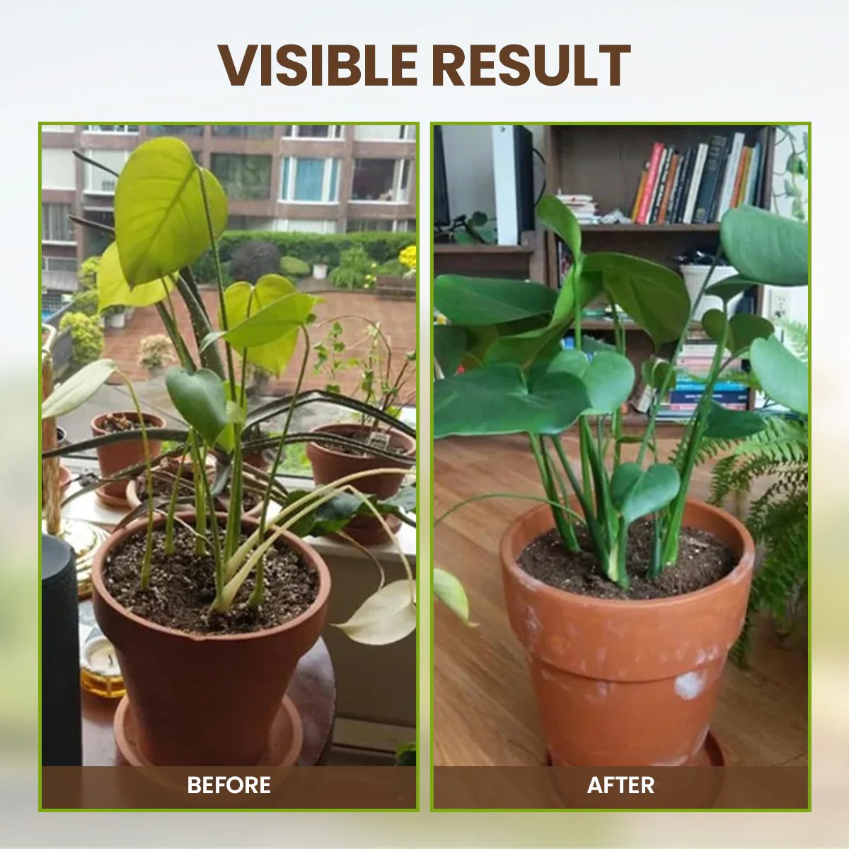 🔥Seasonal promotion🔥Soil Pro Activator