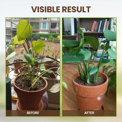 🔥Seasonal promotion🔥Soil Pro Activator