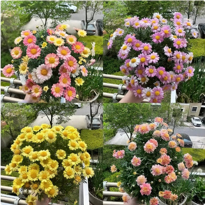 ✨New Arrivals 49% OFF🌱Eco-Friendly Plantable Love Seed Calendar 2026