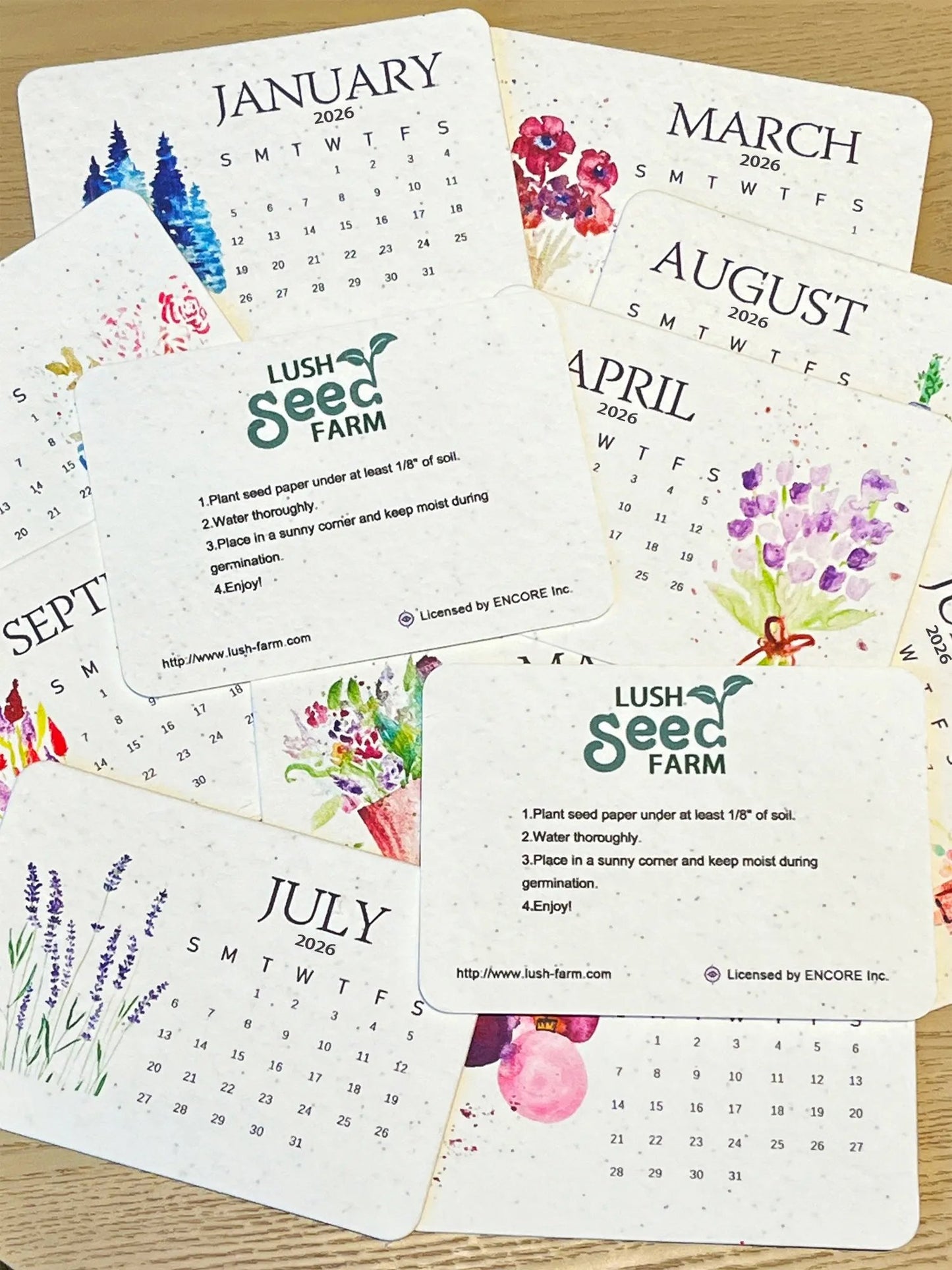 ✨New Arrivals 49% OFF🌱Eco-Friendly Plantable Love Seed Calendar 2026