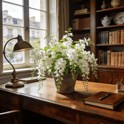 🌿❄️ Midnight Perfume Jasmine Seeds – Winter Planting, Perennial Blooms & Fragrant Garden Elegance 🌸