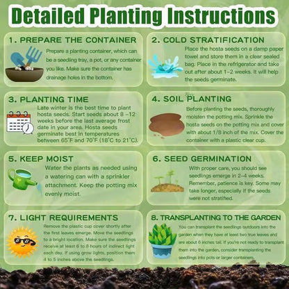 🔥Last Day 49% OFF-Premium Rare Hosta Seeds🌿Shade-Tolerant Plant