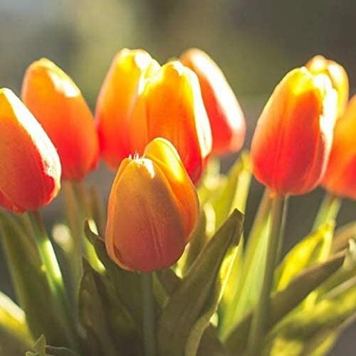 [Buy 20 Get 15 Free]Artificial Latex Tulips🌷