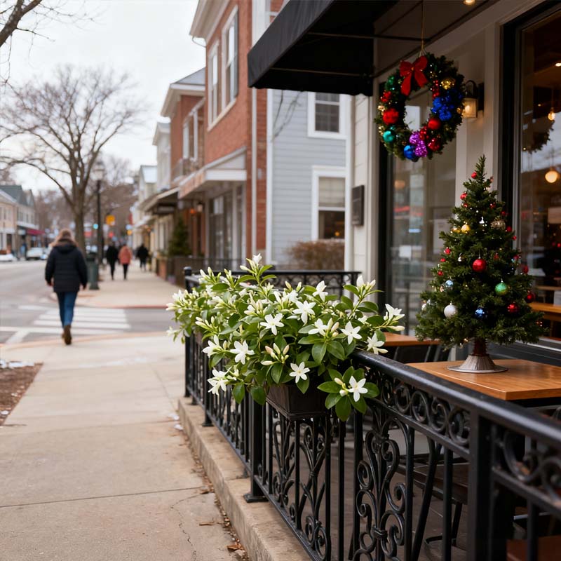 🌿❄️ Midnight Perfume Jasmine Seeds – Winter Planting, Perennial Blooms & Fragrant Garden Elegance 🌸