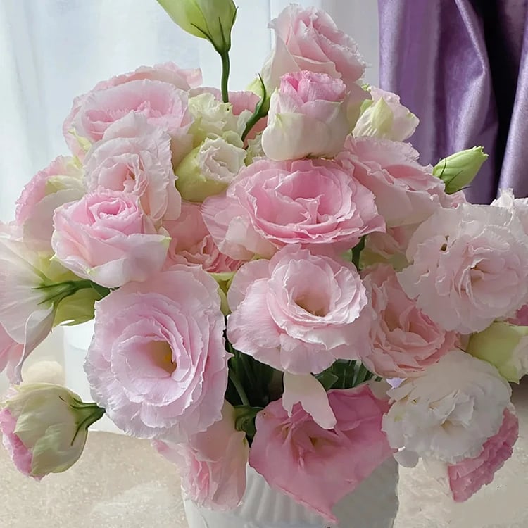 🔥Last Day 49% Discount - Sowing Lisianthus Flower Seeds for All Seasons🌿Suitable for Beginners