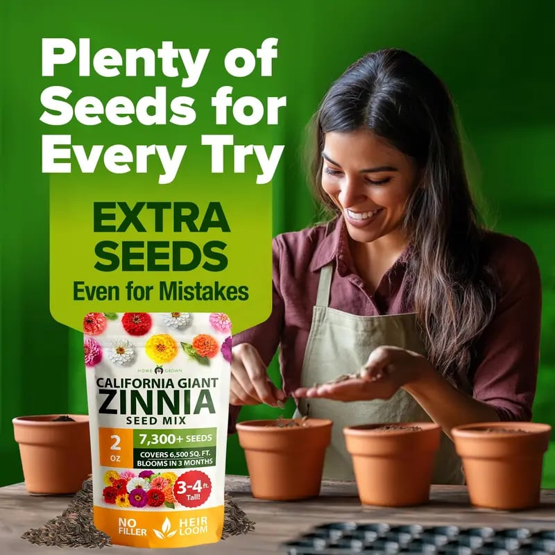 🔥HOT SALE 49% OFF-Zinnia Seeds - Pure Seeds - No Filler - USA Heirloom Flower Seeds