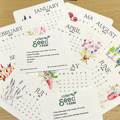 ✨New Arrivals 49% OFF🌱Eco-Friendly Plantable Love Seed Calendar 2026