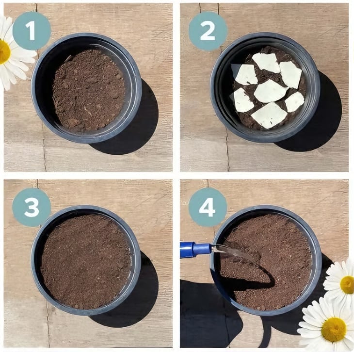 ✨New Arrivals 49% OFF🌱Eco-Friendly Plantable Love Seed Calendar 2026