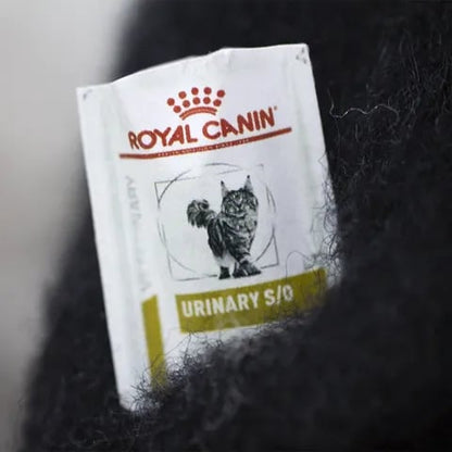 🔥Last Day: BUY 3 GET 1 FREE🎄🎁Wool Felt Familiars – Quirky Handmade Companions🐱